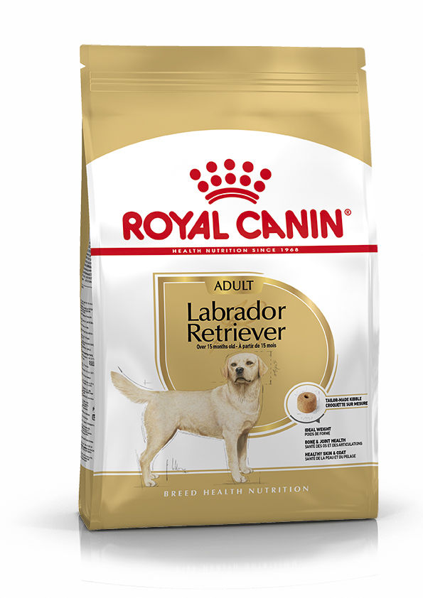 BHN Labrador Retrev Ad 3kg Maxi Adulto Perro