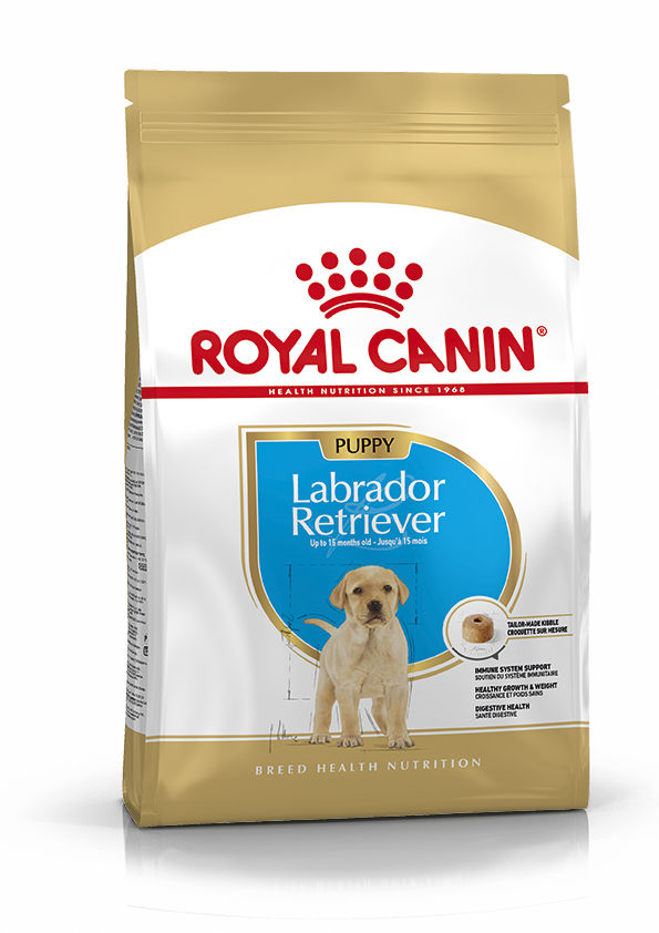 BHN Labrador Retrev Jr 3kg Maxi Puppy Perro Royal Canin