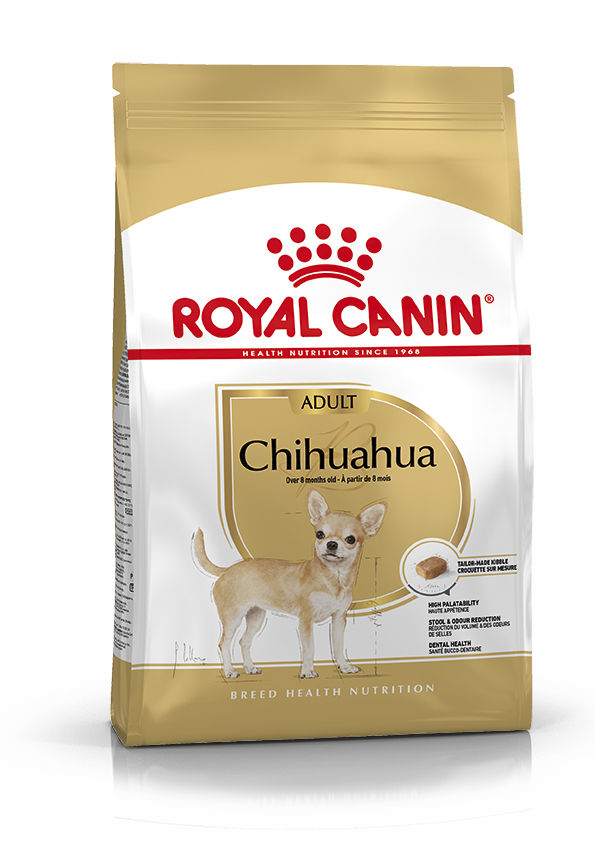 BHN Chihuahua Ad 3kg Mini Adulto Perro