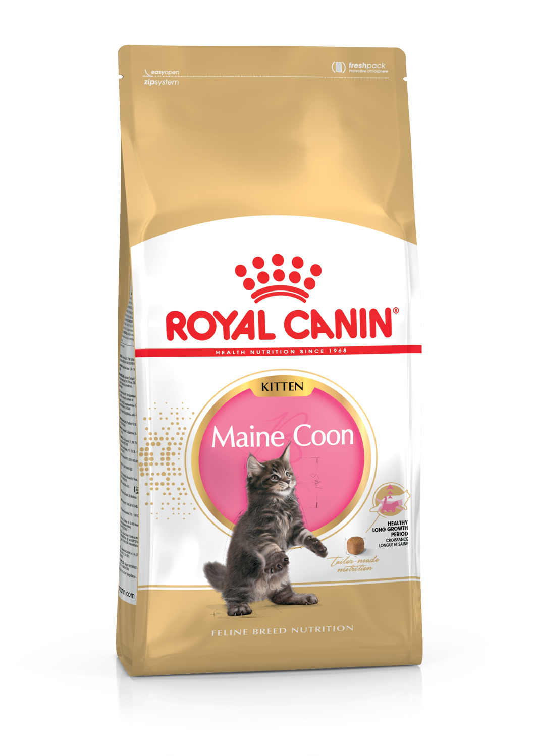 FBN Kitten Maine Coon 4kg  Puppy Gato Royal Canin