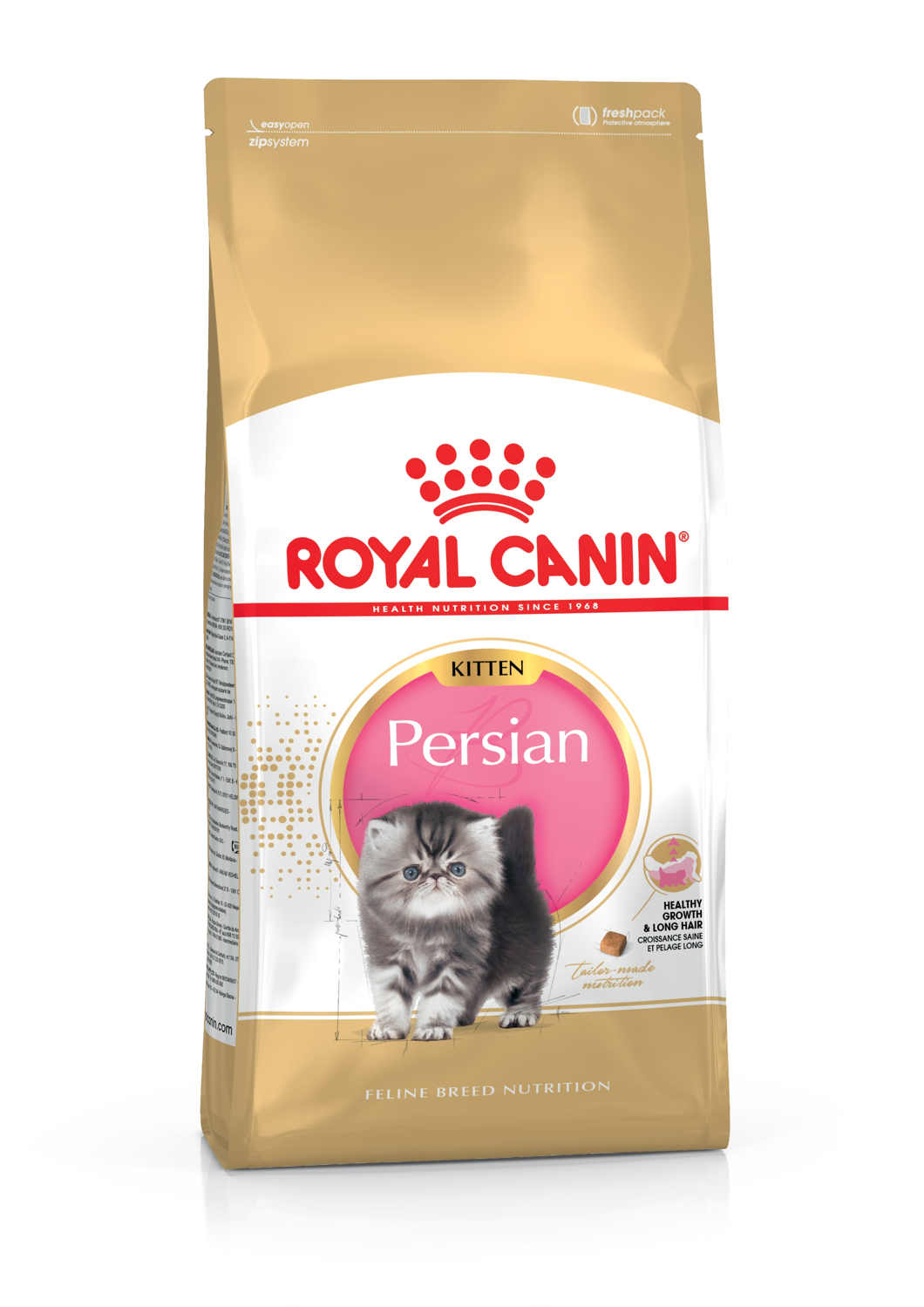 FBN Kitten Persian 4kg  Puppy Gato