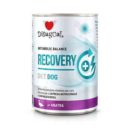 Diet Dog Wet Recovery Pato 400gr  Todos Adulto Perro Disugual