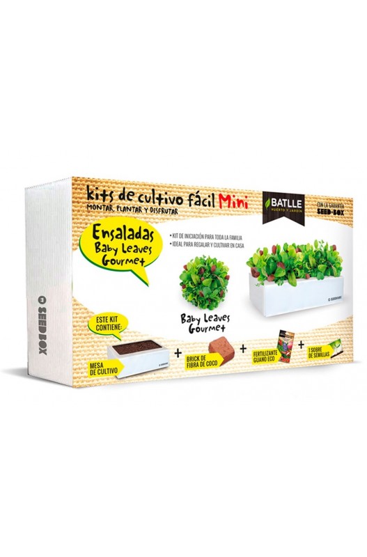 Seed Box Mini Ensaladas