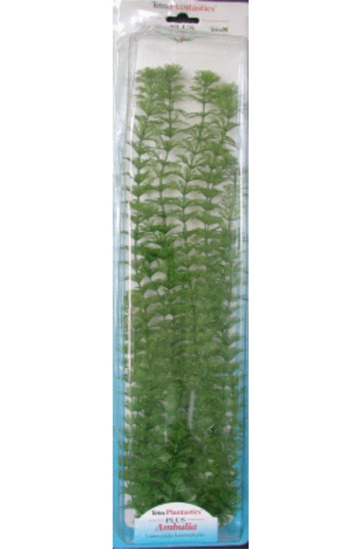 Planta Ambulia Plus (28-33cm)