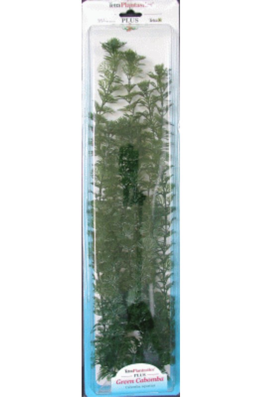 Planta Cabomba Plus (28-33cm) L