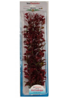 Planta Red Luwigia Plus (46cm)